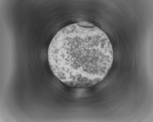 X0000111150085200908111142