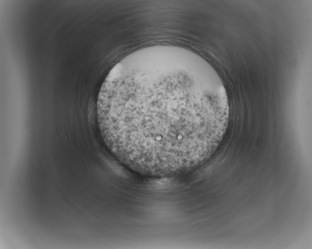 X0000111150092200908111142