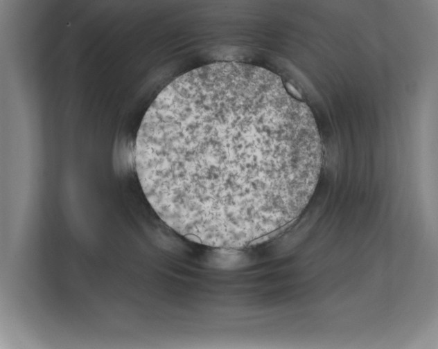 X0000111150095200908111142