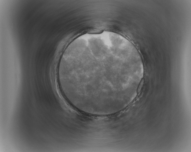 X0000111150097200908111142