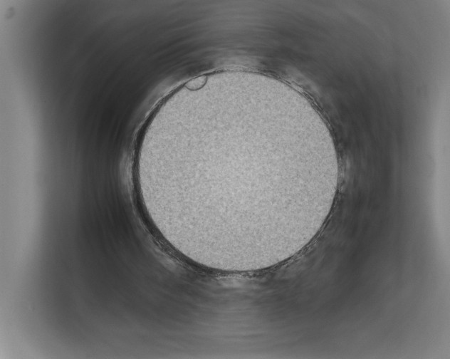 X0000111150098200908111142