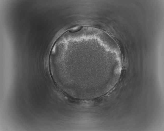 X0000111150099200908111142