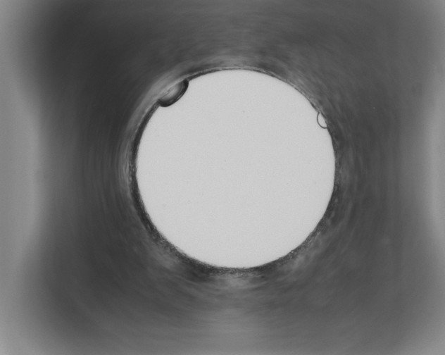 X0000111150103200908111142