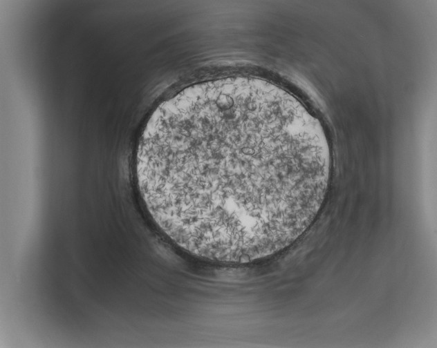 X0000111150105200908111142