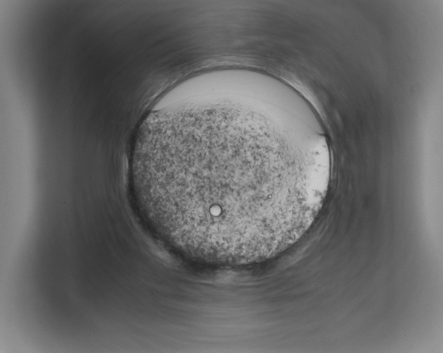 X0000111150109200908111142