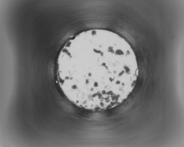 X0000111150111200908111142