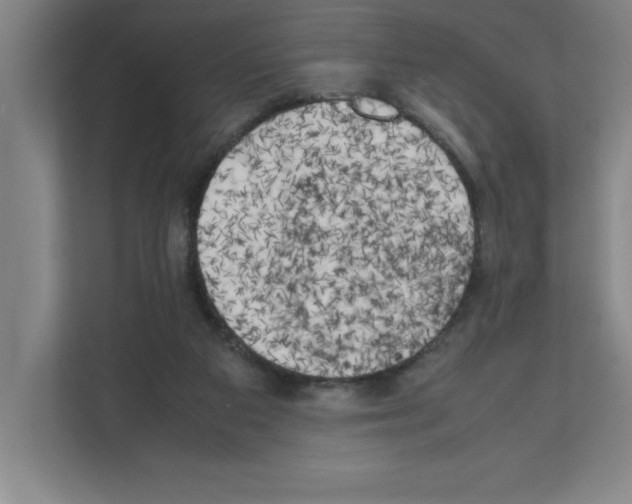 X0000111150113200908111142