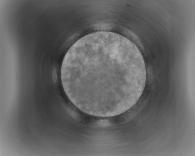 X0000111150114200908111142