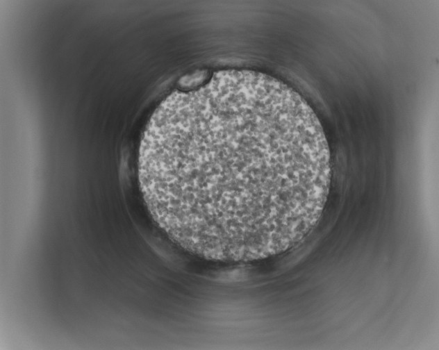 X0000111150116200908111142