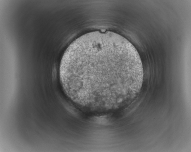 X0000111150120200908111141