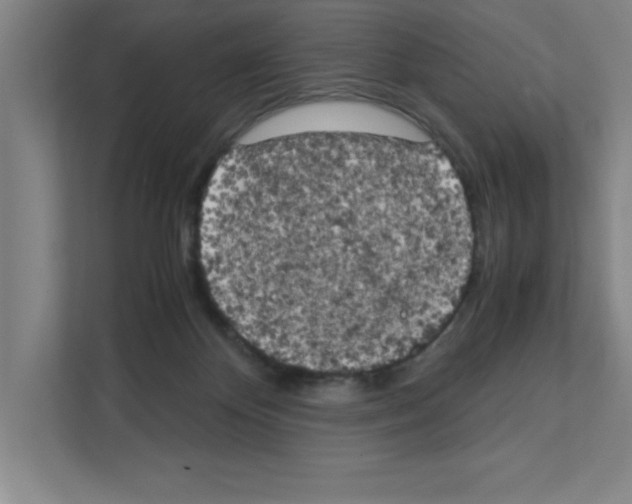 X0000111150124200908111141