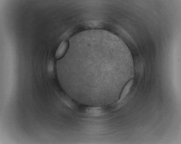 X0000111150132200908111141