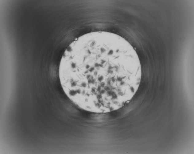 X0000111150135200908111141