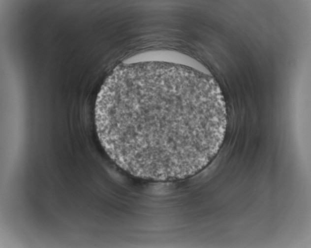 X0000111150136200908111141