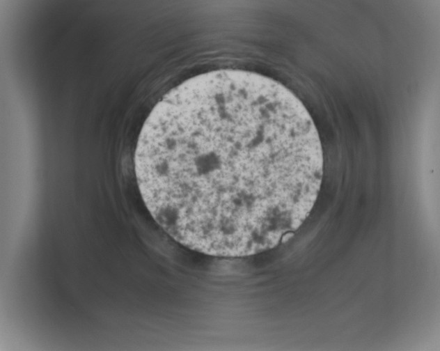 X0000111150137200908111141