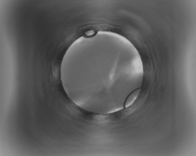 X0000111150139200908111141