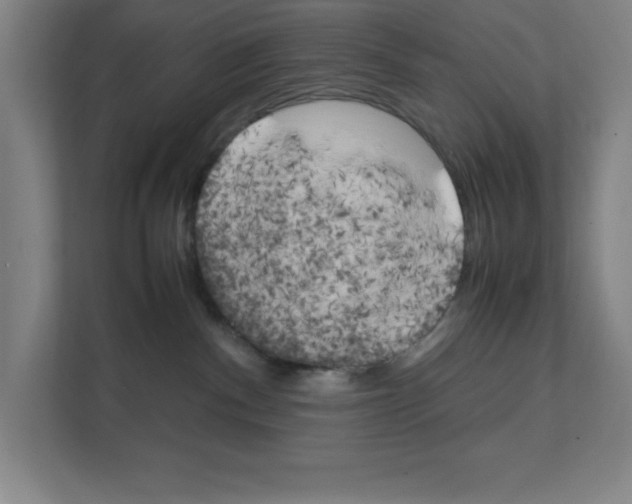 X0000111150140200908111141