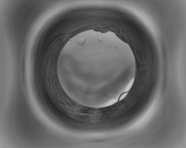 X0000111150143200908111141