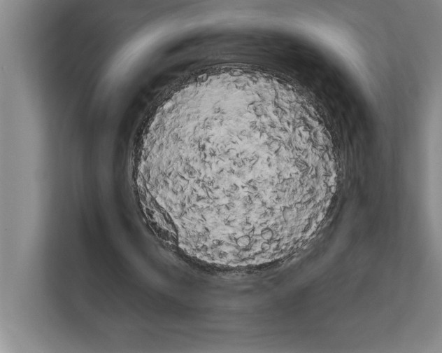 X0000111150146200908111141