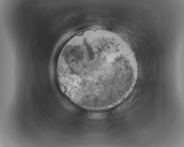 X0000111150149200908111141