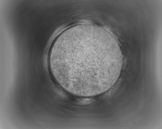 X0000111150151200908111141