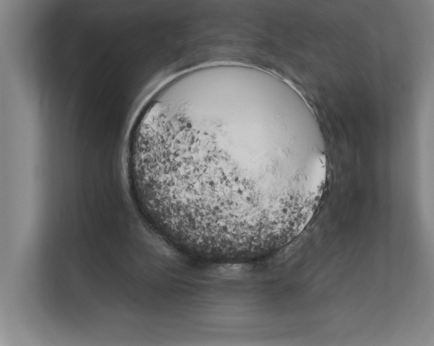 X0000111150152200908111141