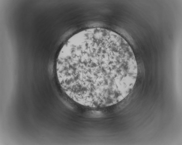 X0000111150159200908111141