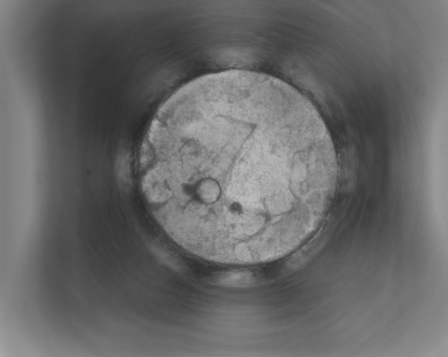 X0000111150162200908111141