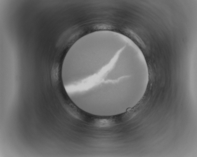 X0000111150163200908111141