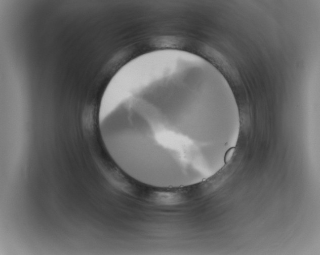 X0000111150167200908111141