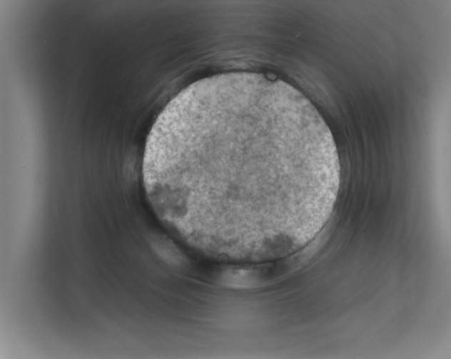 X0000111150174200908111141