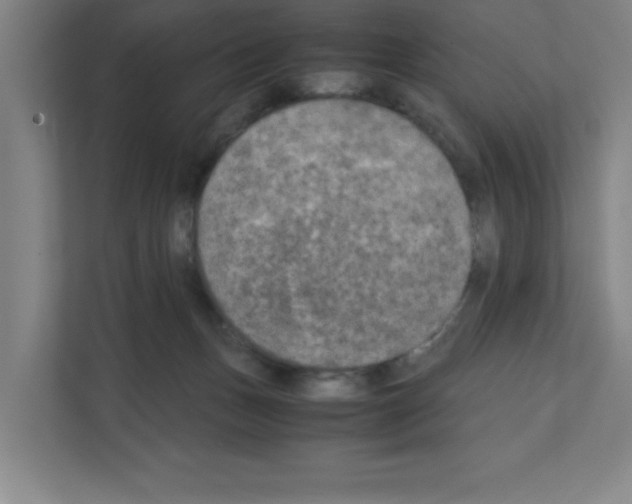 X0000111150175200908111141