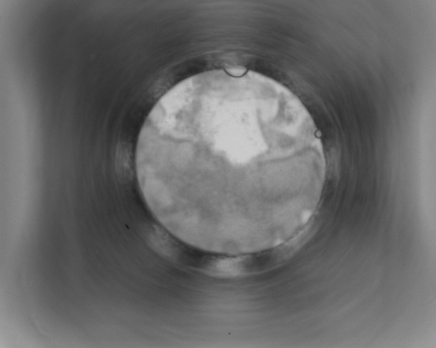 X0000111150178200908111141