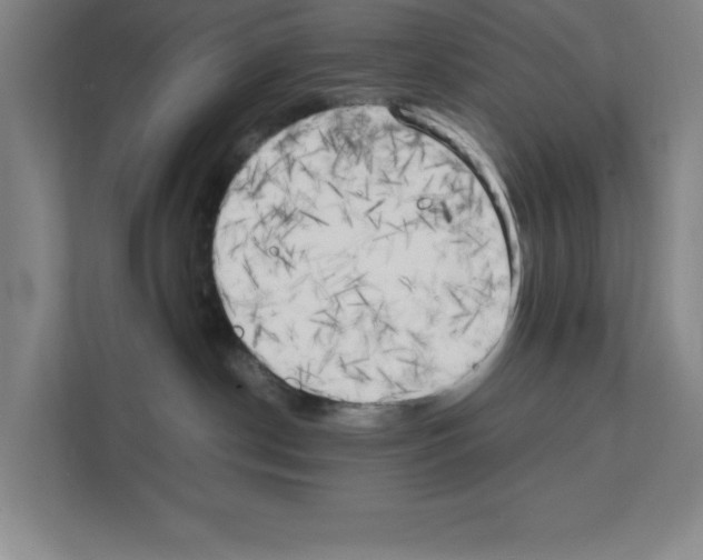 X0000111150190200908111141