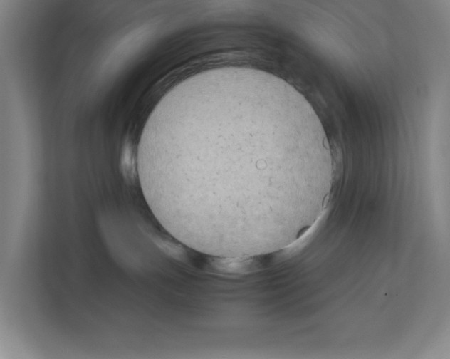 X0000111150191200908111141