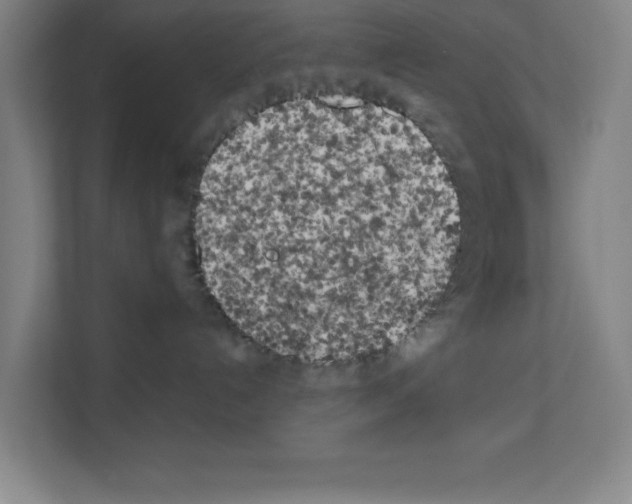 X0000111150192200908111141