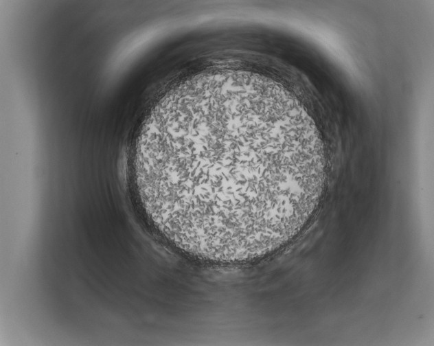 X0000111150194200908111141