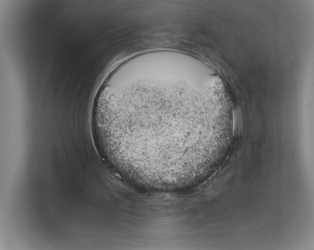 X0000111150195200908111141