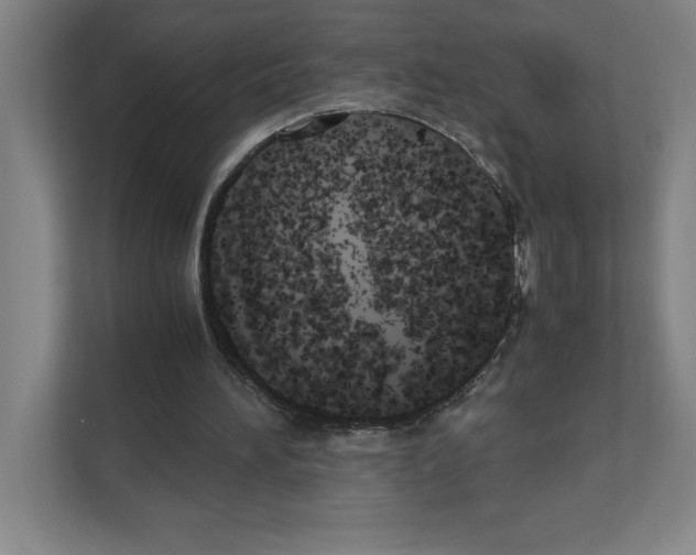 X0000111150196200908111140