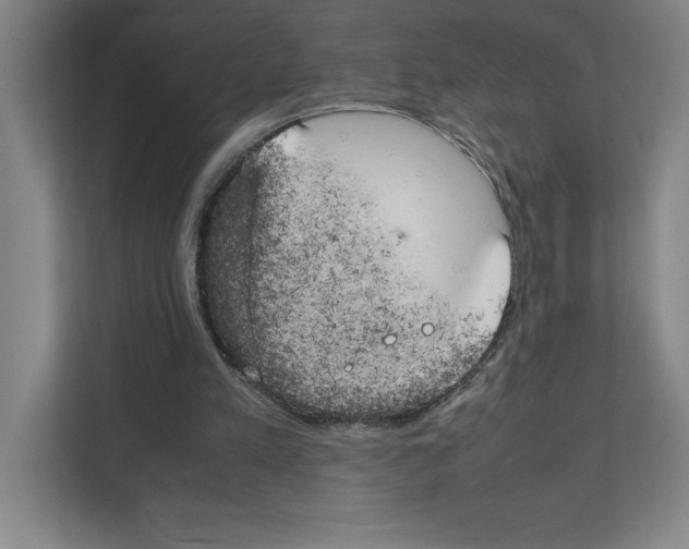 X0000111150197200908111140