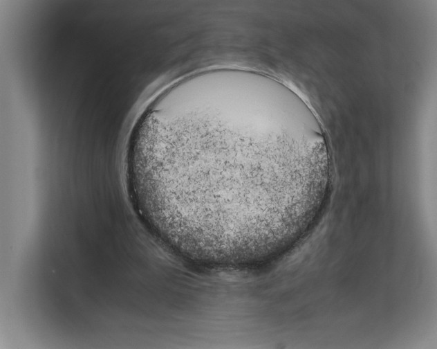 X0000111150199200908111140