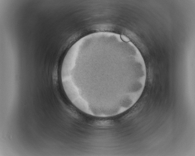 X0000111150202200908111140