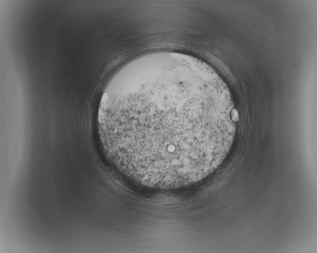 X0000111150207200908111140