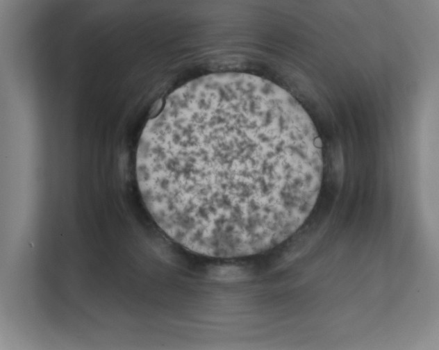 X0000111150224200908111140