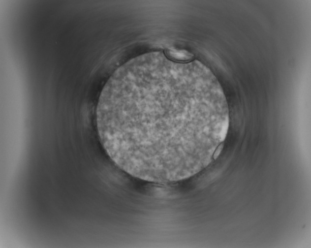 X0000111150229200908111140