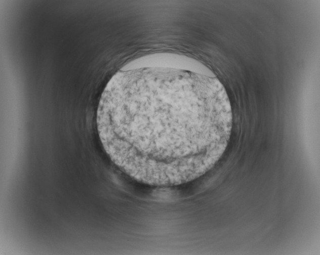 X0000111150231200908111140