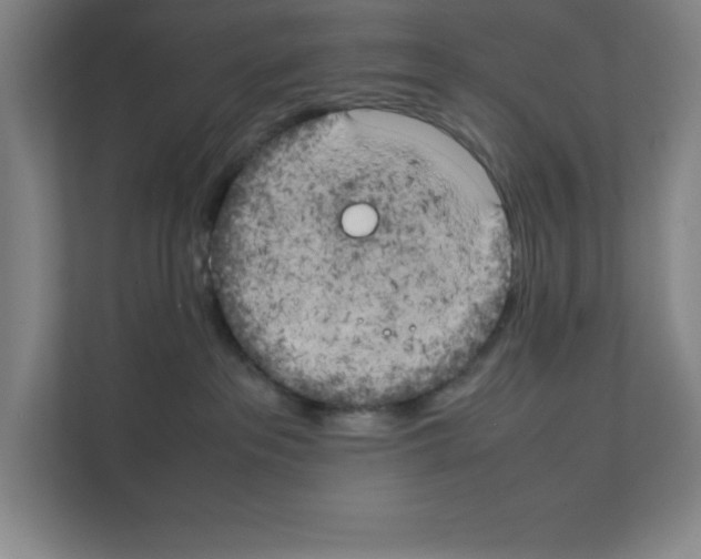 X0000111150237200908111140