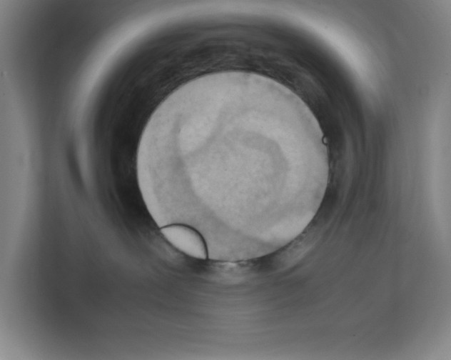 X0000111150239200908111140