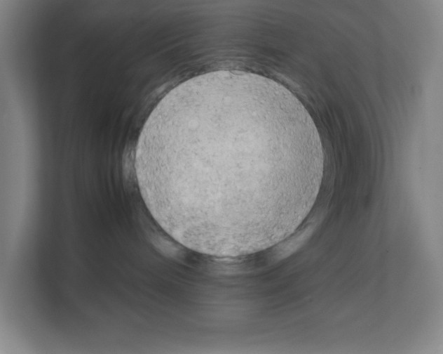 X0000111150240200908111140