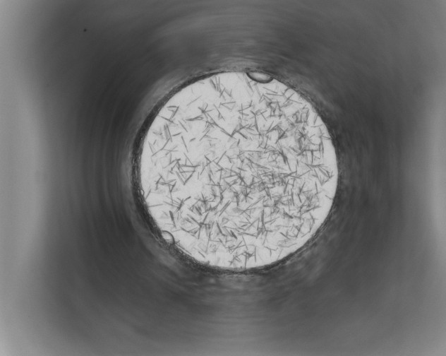 X0000111150242200908111139